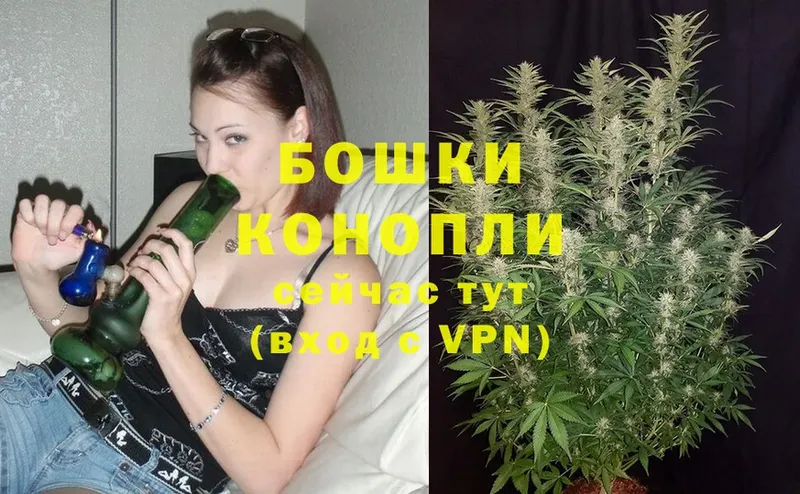 продажа наркотиков  Тотьма  Шишки марихуана THC 21% 